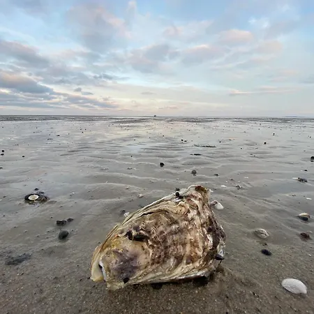 Appartement Im Haus Nordland Nordland, App85